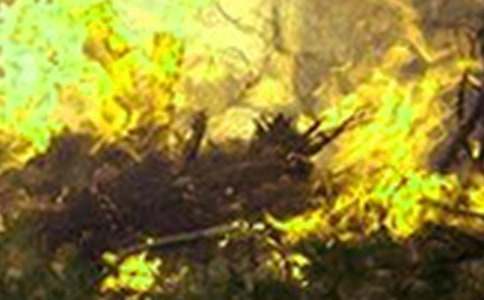 火災(zāi)的預(yù)防的心得體會