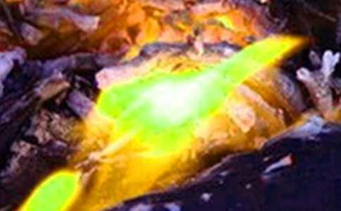 С�^(q��)������ķ��ع���������ͨ��11ƪ��