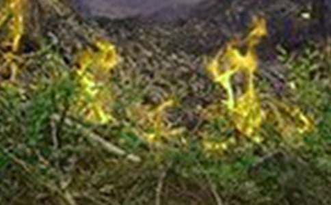 ���(z��i)���ع�����������