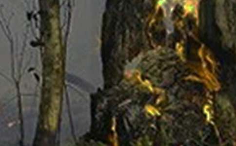 ���(z��i)�¹ʵ��{(di��o)���(b��o)��