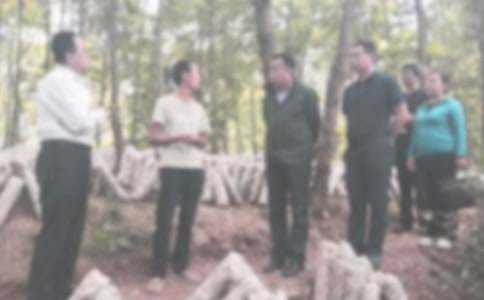 喝酒違紀(jì)檢討書