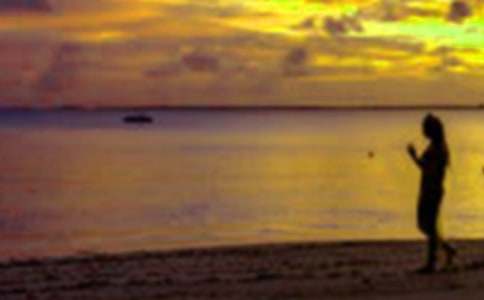 ����������`�ĵ�