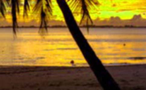 寒假期間社會實踐活動心得體會