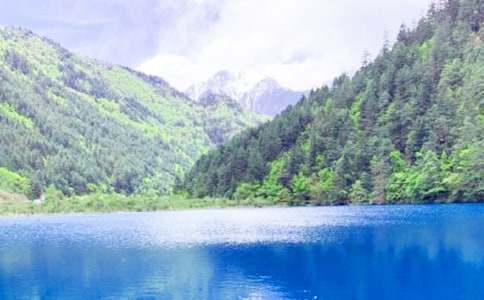 九寨溝導游詞【必備】