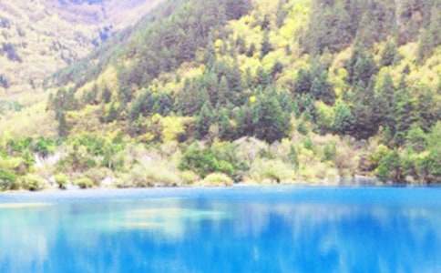 九寨溝導(dǎo)游詞精華14篇