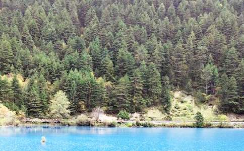 四川九寨溝導游詞(集錦15篇)