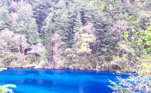 四川九寨溝導(dǎo)游詞(合集15篇)