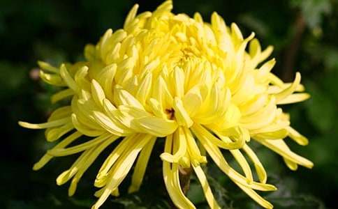 �r�յĻ��Z��ʲô��������˼,�r�ջ��Z��ʲô��