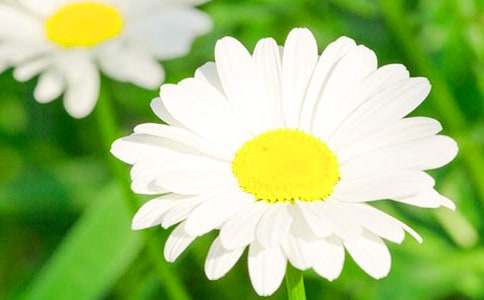 �ջ��Ļ��Z(y��)��B