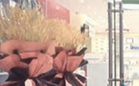 �µ��_�I(y��)�gӭ�~����