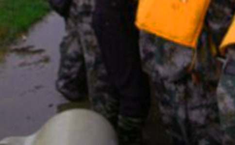 ����ȞĹ������Y