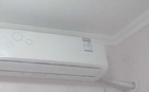 ���P���{�Č������3ƪ