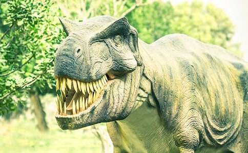 ���������̰�14ƪ