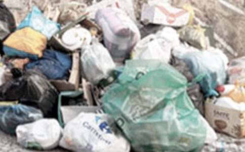 撿垃圾小學(xué)生心得體會