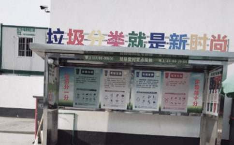 垃圾分類社會實踐個人總結(jié)