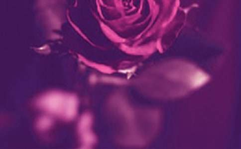 �P(gu��n)��������(g��)���f�f���Z�����x30�䣩