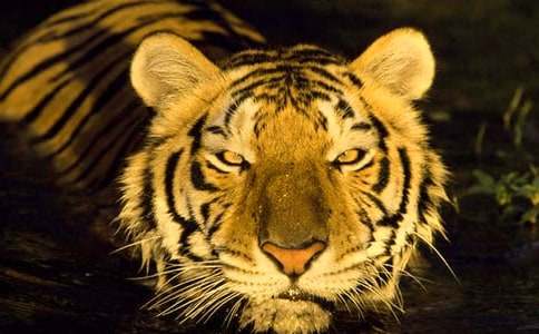 �|�����B�ϻ��������~