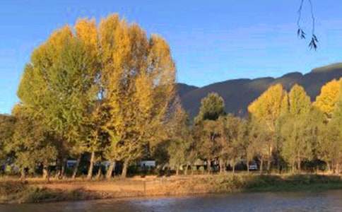 ��B�����ųǵČ����~