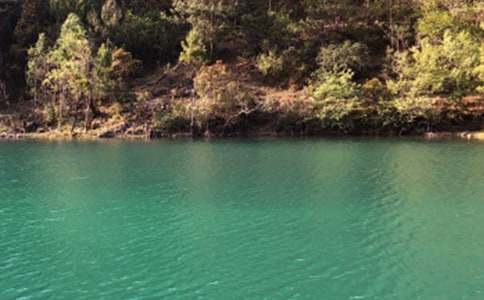 云南麗江古城導(dǎo)游詞14篇