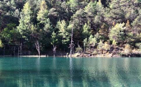 ���������ųǵČ�(d��o)���~ 9ƪ