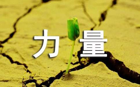 觀看榜樣的力量心得體會集合(15篇)