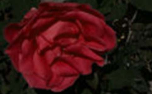 ����(j��ng)�䡿õ��Ļ��Z15ƪ