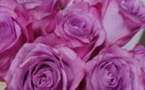 ��õ�廨�Z����