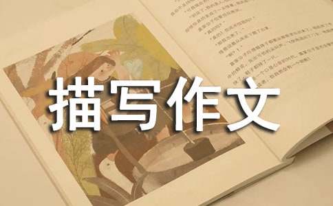 �����x��С�u�茑���ąR��7ƪ