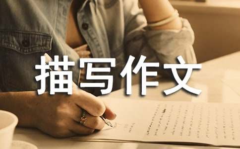 ���õ�С�u�茑���İ�ƪ