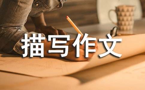 ���xС�u�茑���ľ�ƪ