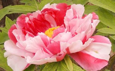 ĵ�����Z(y��)��(j��ng)�䳬�̾�