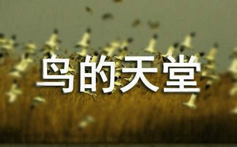 【熱門】鳥的天堂導(dǎo)游詞