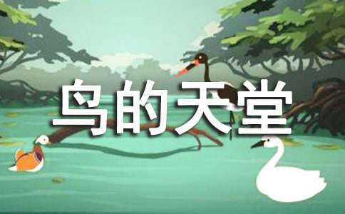 給鳥的天堂寫導(dǎo)游詞14篇