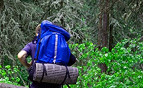 ��ɽ�ĵ��w��[����]