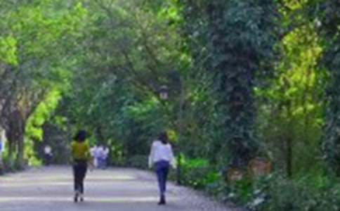 ��ɽ�̰����\��ƪ