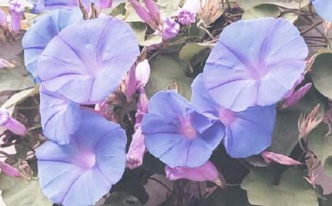 �Ϡ�ţ�����Z