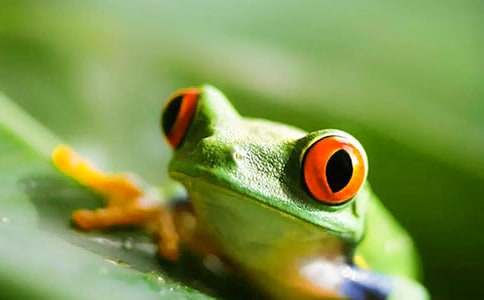 ����܊�F(tu��n)�۵����x���15ƪ