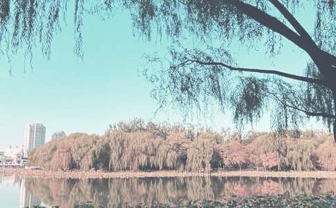 �＾˼����һ�n�ĵ��w��