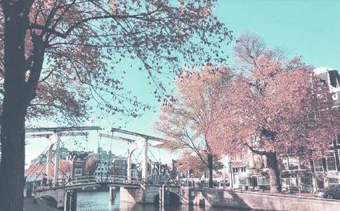 �＾�W(xu��)�ڿ���(w��)̎�������Y(ji��)