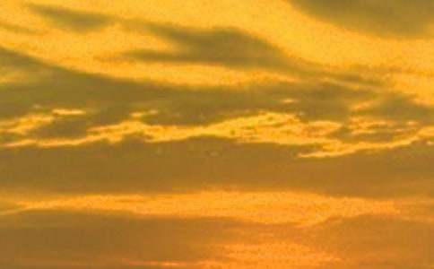 �ճ����������Ϣ�����S�P