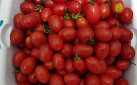 水果節(jié)策劃書