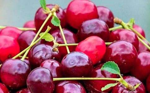 “水果拼盤”大賽策劃書