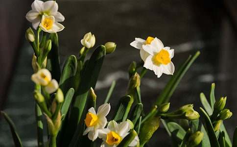 ��ˮ�ɶ����Ό�(d��o)���~