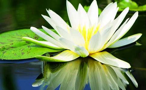 ˯ɏ�Ļ��Z��ʲô���x