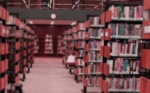 圖書管理員述職報(bào)告10篇