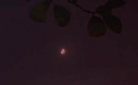 2026�꺆(ji��n)�ε�Ψ�������������Z(y��)ժ�66��