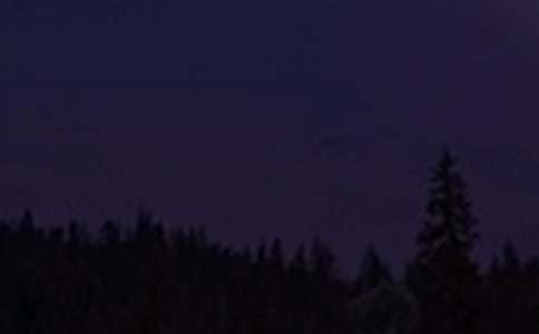 ���T(m��n)�����������Z(y��)��ͨ��40�䣩