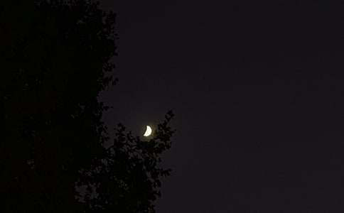 2025�꾫�x��ů������΢�ņ����Z31��