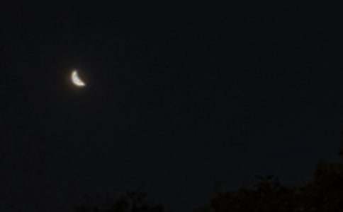 ���õ����õ����������Z����47��