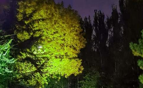 ͨ������ϵ��������Ȧ��(w��n)���Z(y��)�R��50��